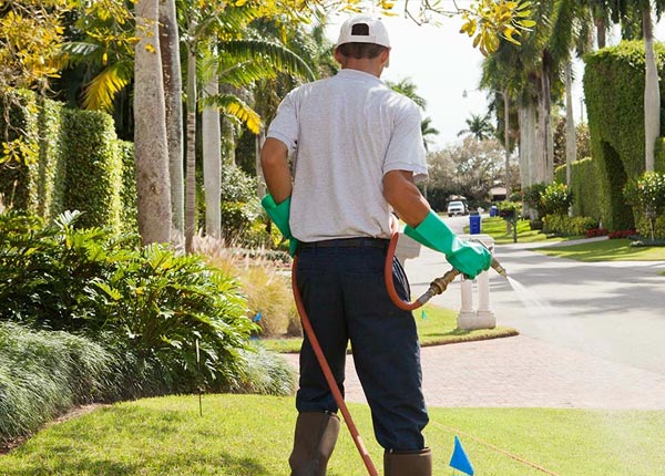 About Bradley CA Pest Control